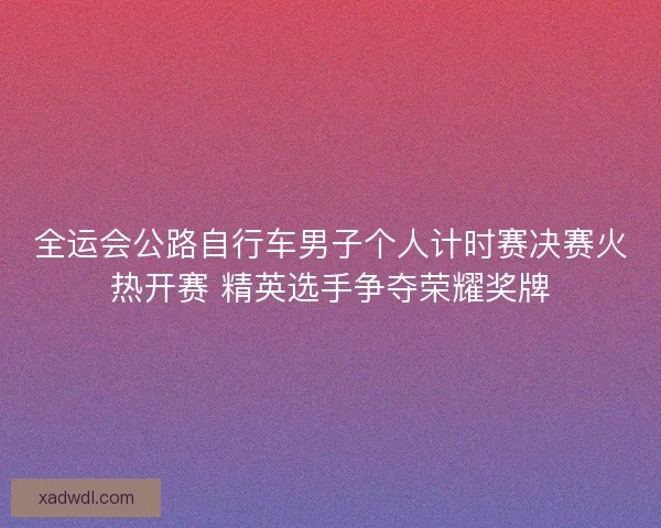 全运会公路自行车男子个人计时赛决赛火热开赛 精英选手争夺荣耀奖牌