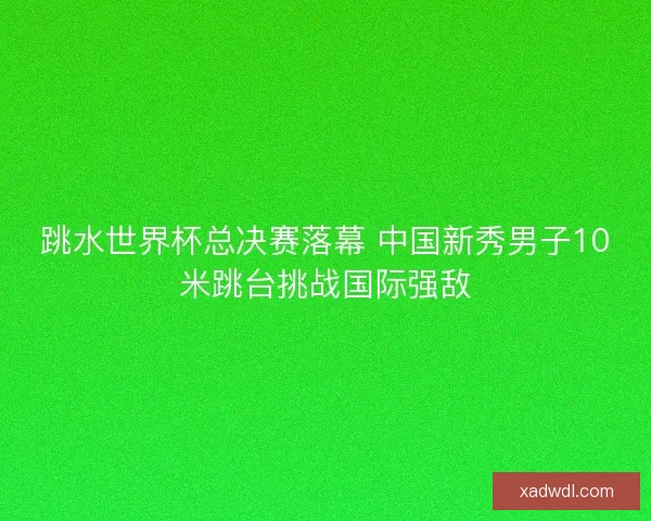跳水世界杯总决赛落幕 中国新秀男子10米跳台挑战国际强敌