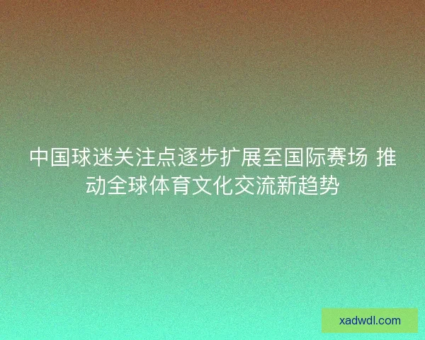 中国球迷关注点逐步扩展至国际赛场 推动全球体育文化交流新趋势